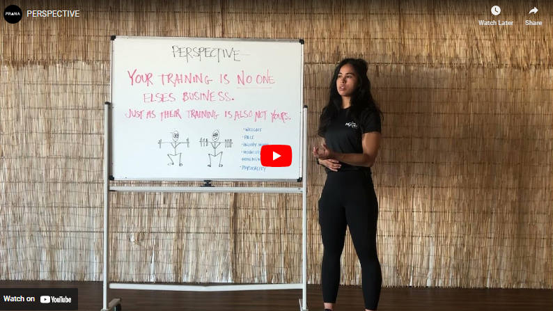 You are currently viewing Perspective