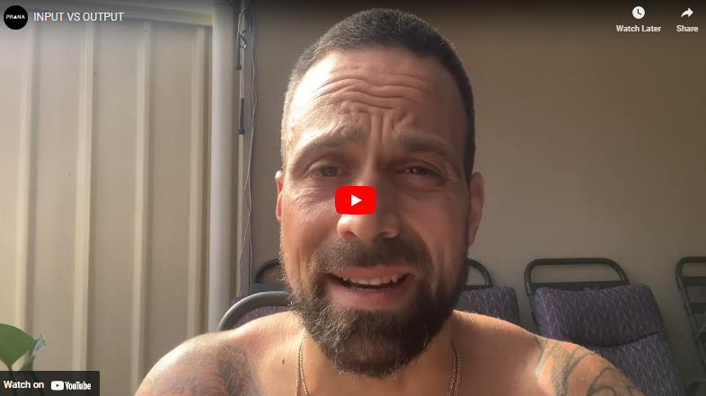 Read more about the article INPUT VS OUTPUT